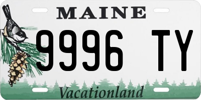 ME license plate 9996TY