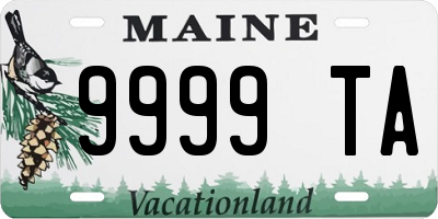 ME license plate 9999TA