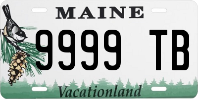 ME license plate 9999TB