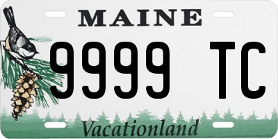 ME license plate 9999TC
