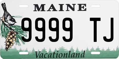 ME license plate 9999TJ