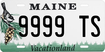 ME license plate 9999TS