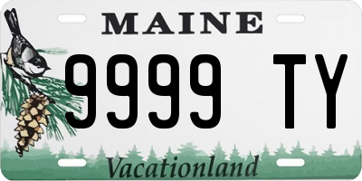 ME license plate 9999TY