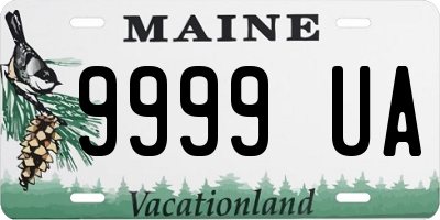ME license plate 9999UA