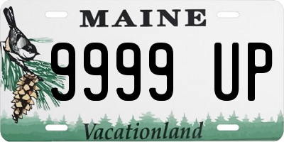 ME license plate 9999UP
