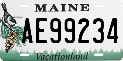 ME license plate AE99234