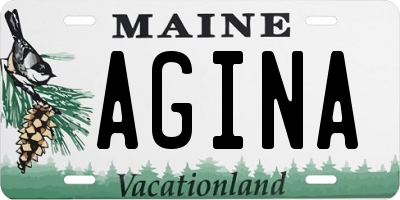 ME license plate AGINA