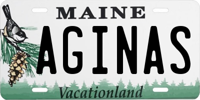 ME license plate AGINAS