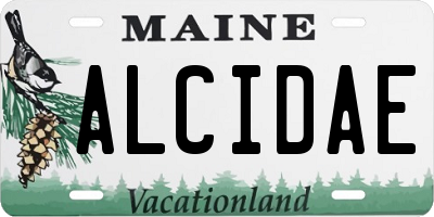 ME license plate ALCIDAE