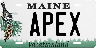 ME license plate APEX