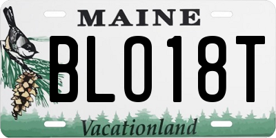 ME license plate BLO18T