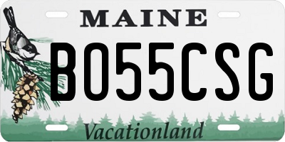 ME license plate BO55CSG