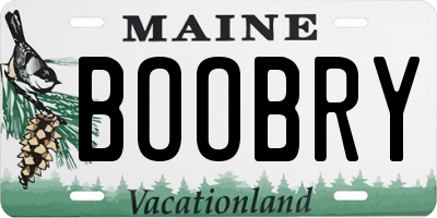 ME license plate BOOBRY