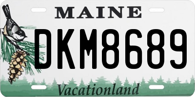 ME license plate DKM8689