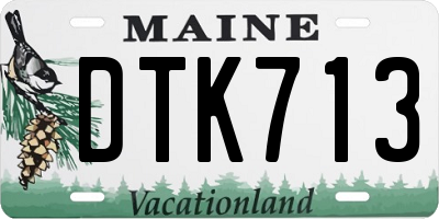 ME license plate DTK713