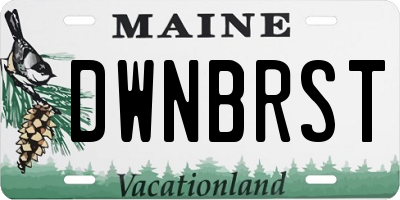 ME license plate DWNBRST