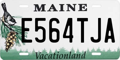 ME license plate E564TJA