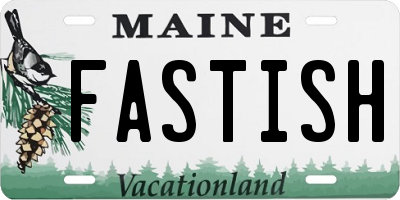 ME license plate FASTISH