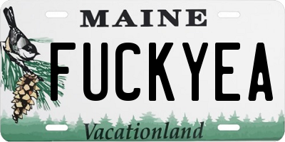 ME license plate FUCKYEA