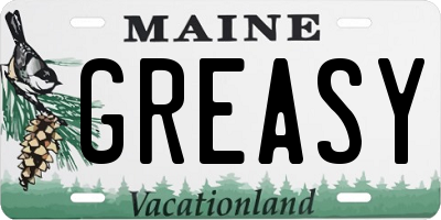 ME license plate GREASY