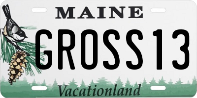 ME license plate GROSS13