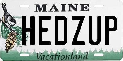 ME license plate HEDZUP