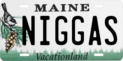 ME license plate NIGGAS