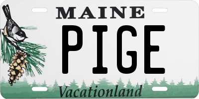 ME license plate PIGE