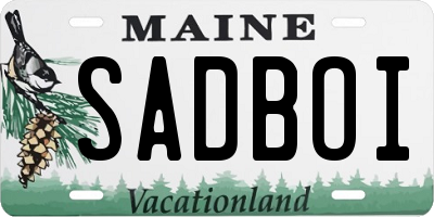 ME license plate SADBOI