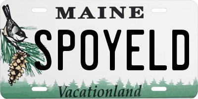 ME license plate SP0YELD