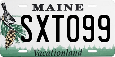 ME license plate SXT099