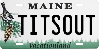 ME license plate TITS0UT