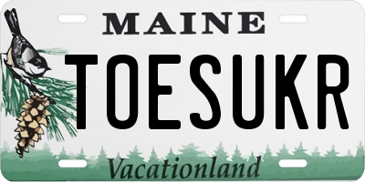 ME license plate TOESUKR