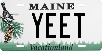 ME license plate YEET