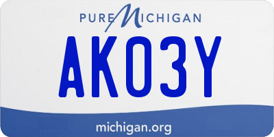 MI license plate AK03Y