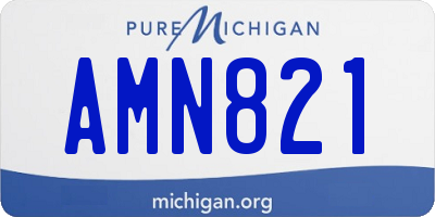 MI license plate AMN821