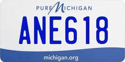 MI license plate ANE618