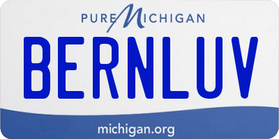 MI license plate BERNLUV