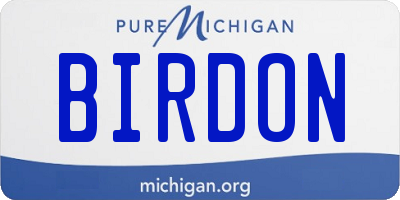 MI license plate BIRDON