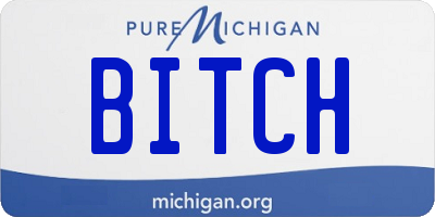 MI license plate BITCH