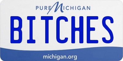 MI license plate BITCHES