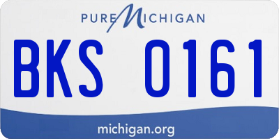 MI license plate BKS0161