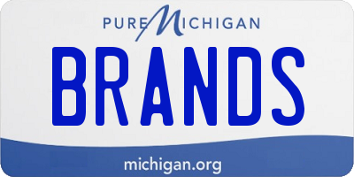 MI license plate BRANDS