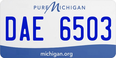 MI license plate DAE6503