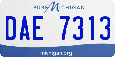 MI license plate DAE7313