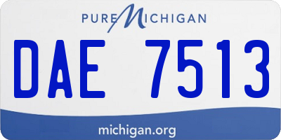 MI license plate DAE7513