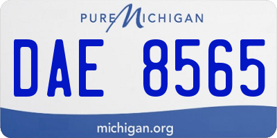 MI license plate DAE8565