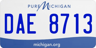 MI license plate DAE8713