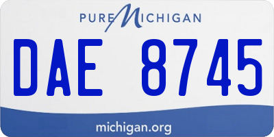 MI license plate DAE8745
