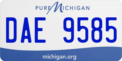 MI license plate DAE9585